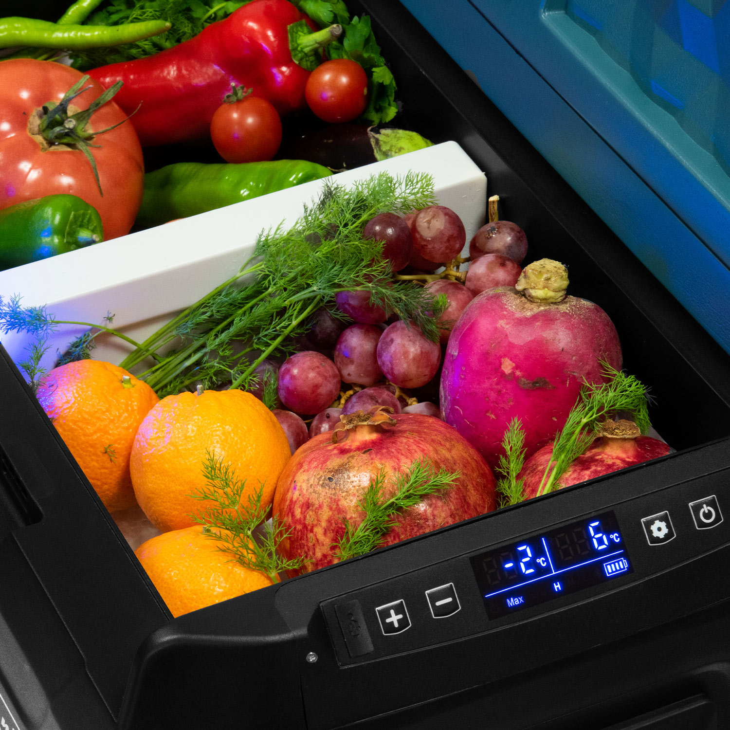 NF3648 Soğutucu & Dondurucu Kompresörlü Araç Buzdolabı